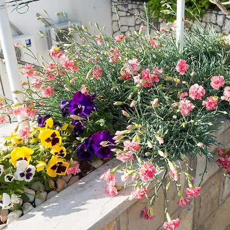 Apartament Tamaris *